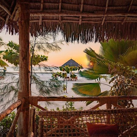 Joy Of Zanzibar Otel Michamvi Dış mekan fotoğraf