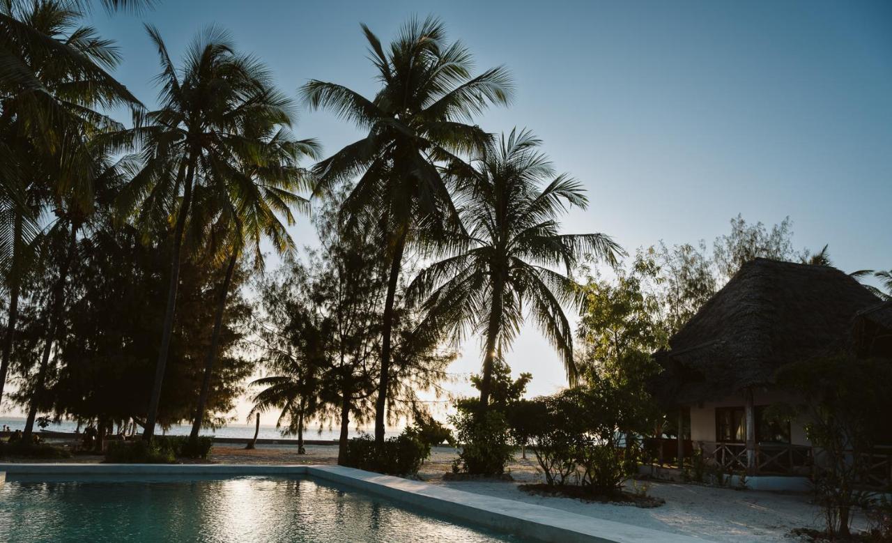 Joy Of Zanzibar Otel Michamvi Dış mekan fotoğraf